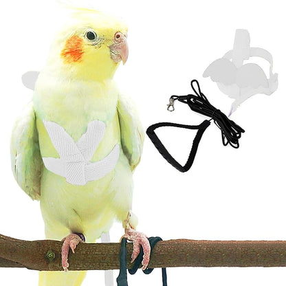Pet Parrot Bird Harness and Leash, Adjustable Training Design Anti-Bite by Dnoifne