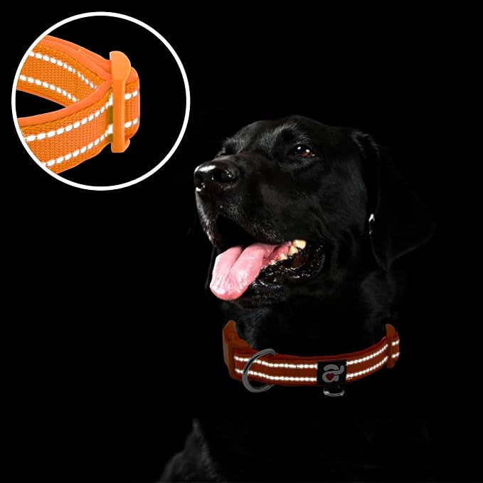 azuza Reflective Dog Collar, Soft Neoprene Padded Pet Collar - Image 4
