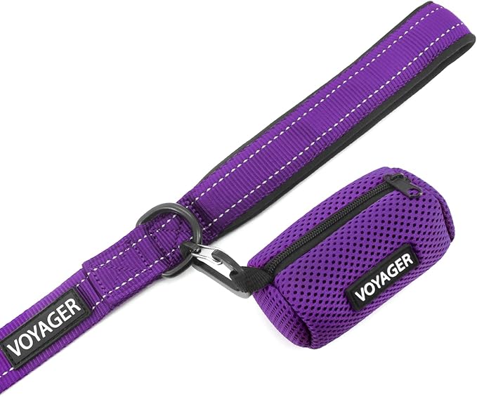Best Pet Supplies Voyager Reflective Dog Leash or Collar - Image 4
