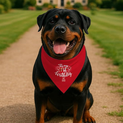 Birthday Dog Bandana, It's My 1 st Birthday Pet Costumes, Adjustable - Image 3