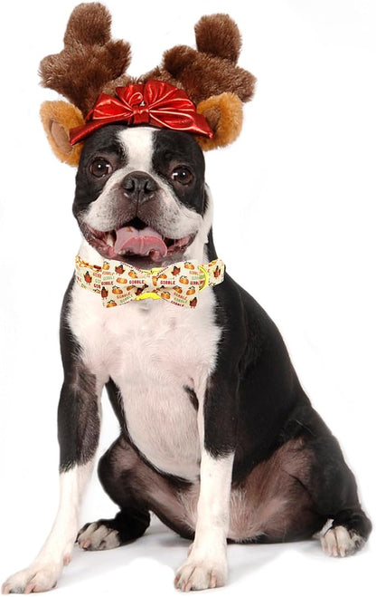 Adjustable Dog Collar for Small Dogs - Image 5