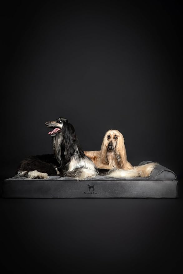 NOAH & PAW Giant Dog Bed XXL 55x45x9.5 Inch, Orthopedic Dog Beds, Eggshell - Image 6