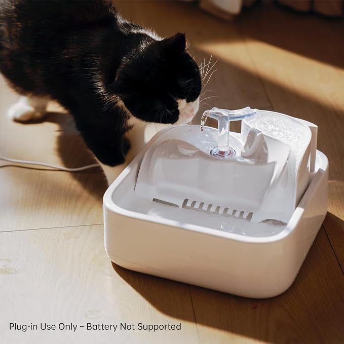 Oxygen-Riched Water Fountain for Cats Drinking Healthy, Pet Water Dispenser - Image 6
