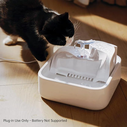 Oxygen-Riched Water Fountain for Cats Drinking Healthy, Pet Water Dispenser - Image 6