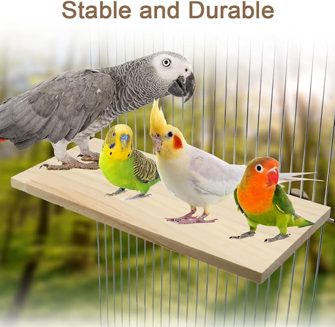 Litewoo Parrot Bird Wood Perch Platform Large Stand Shelf - Image 4