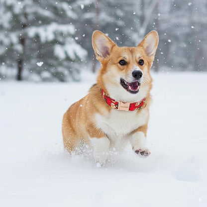 Christmas Dog Collar，Soft Cotton Dog Collars - Image 5