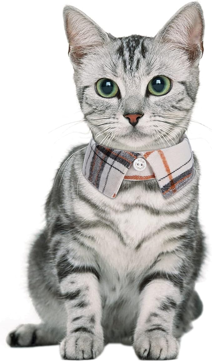 Faleela 2 Pack/Set Cat Collar - Image 5