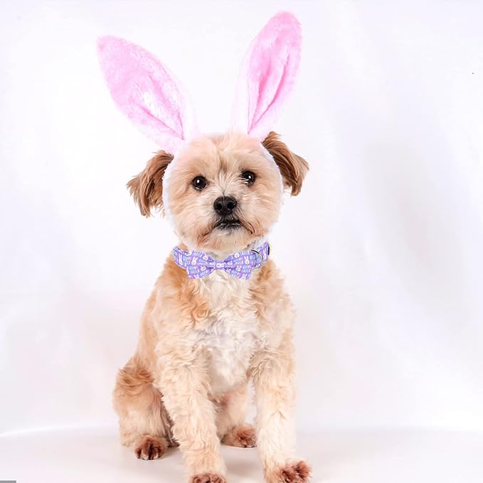 MR. CHUBBYFACE Easter Dog Collar Rabbit Puppy Collar - Image 5