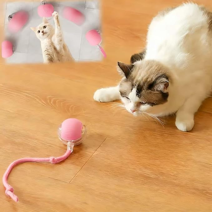 Interactive Cat Toys for Indoor Cats, Agility Move Cat Balls, Motion Activated by Goodqualityforyou