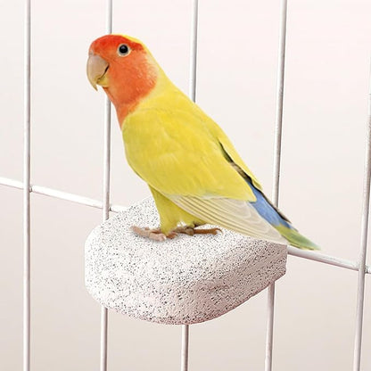 4Pcs Bird Beak Grinding Stone, Bird Perches Calcium Parrot Perch Stand Parrot - Image 6