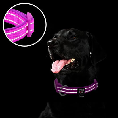 azuza Reflective Dog Collar, Soft Neoprene Padded Pet Collar - Image 4