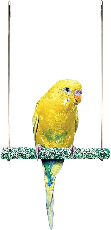 PENN-PLAX Bird-Life Trimmer Plus Cement & Metal Swing – Naturally Trims Nails & by Penn-Plax