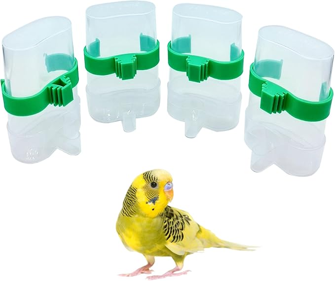 Bird Water Dispenser Parrot Water Feeder Bird Seed Container by Hamiledyi