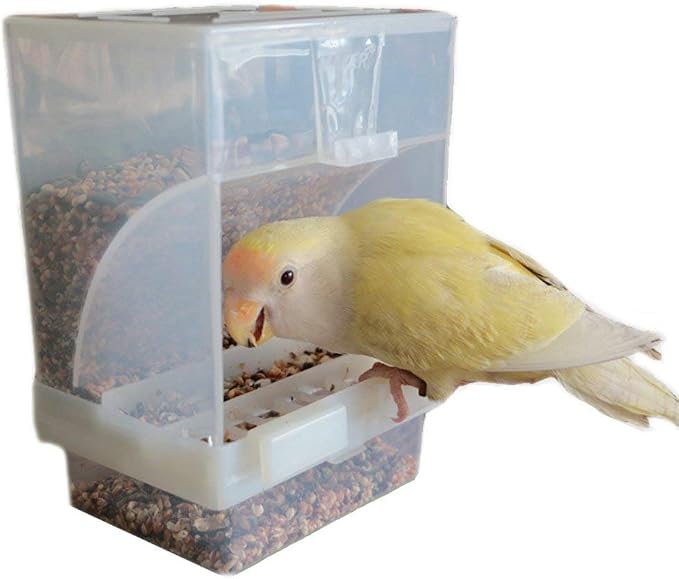 Hypeety Automatic Bird Feeder No Mess Pet Feeder Seed Food Container Perch Cage by Hypeety