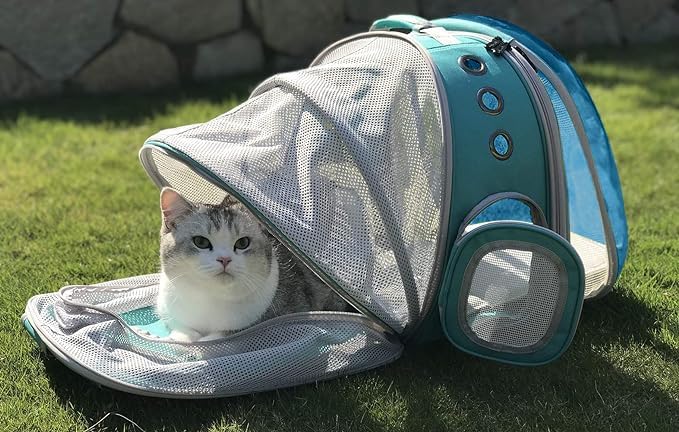 Dual Expandable Polarized Blue Cat Backpack Carrier, Fit up to 20 lbs, - Image 4