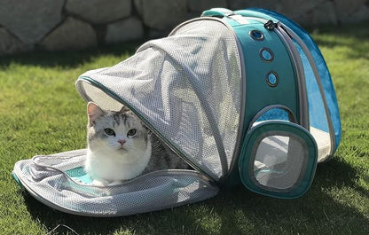 Dual Expandable Polarized Blue Cat Backpack Carrier, Fit up to 20 lbs, - Image 4