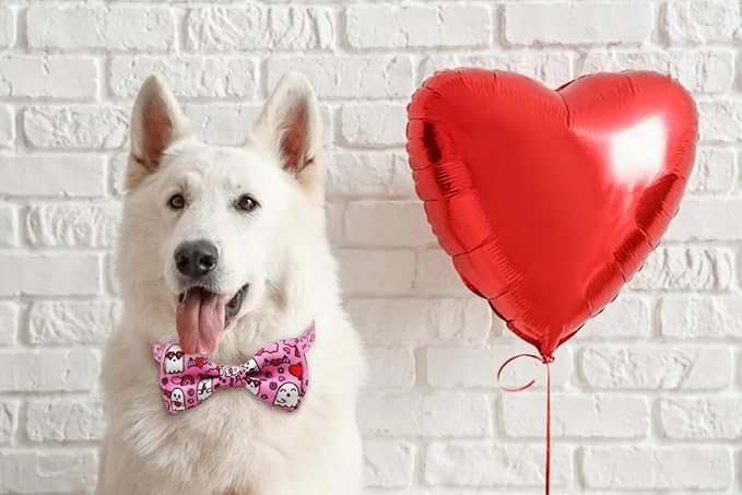 Valentine’s Day Dog Collar Adjustable Puppy Collar - Image 4