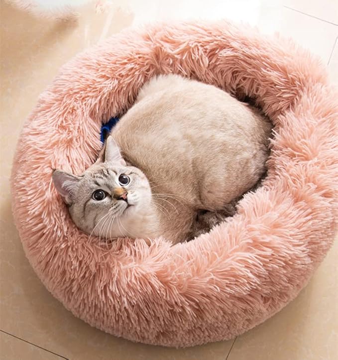 Cat Beds for Indoor Cats by Unknown