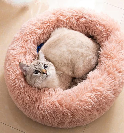 Cat Beds for Indoor Cats by Unknown