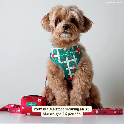 Lucy & Co. Cute Reversible Dog Harness Walking Halter - Image 2