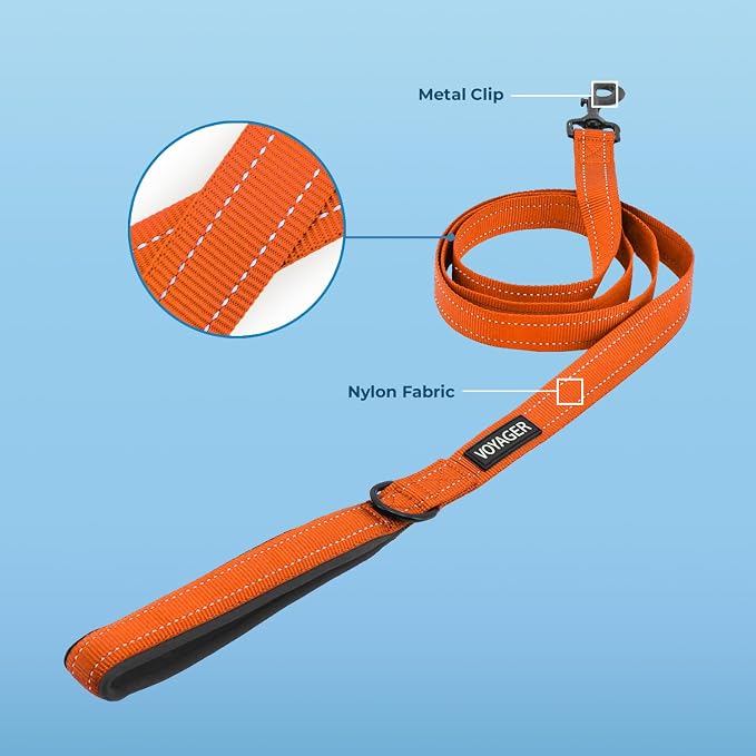 Best Pet Supplies Voyager Reflective Dog Leash or Collar - Image 2