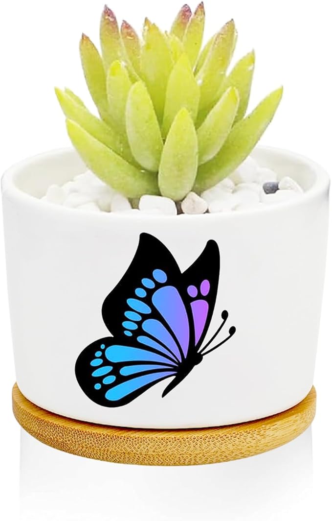 Window Garden Butterfly Planter Pots, Butterfly Gifts by Databa