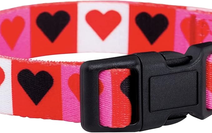 Native Pup Valentine’s Dog Collar- Valentines Day Pet Collars- Valentine Girly - Image 5