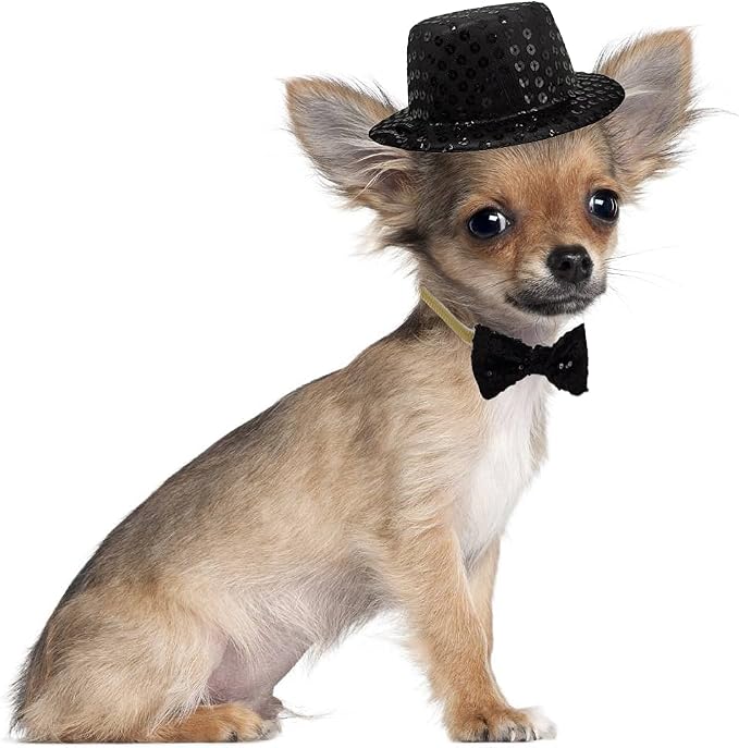 Christmas Pet Party Jazz Hat and Blingbling Bow Tie Breakaway Collar Set - Image 6