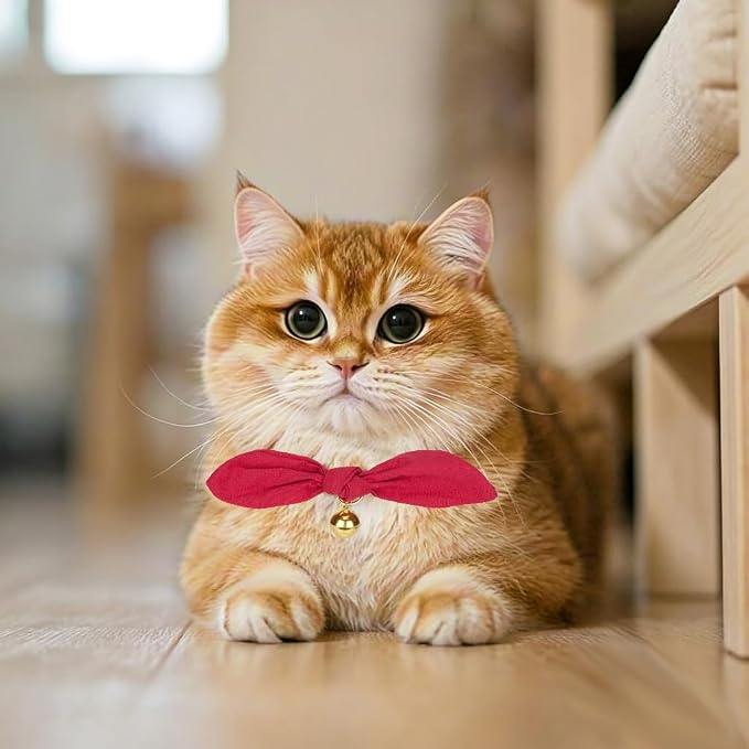 Bunny Ear Cat Collar with Bell and Bow Tie, Breakaway Cute Bowtie Kitten Collars - Image 7