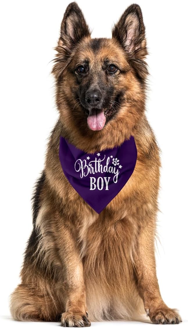 Birthday Boy Dog Bandanas, Dog Birthday Bandana, Birthday Bandana - Image 3