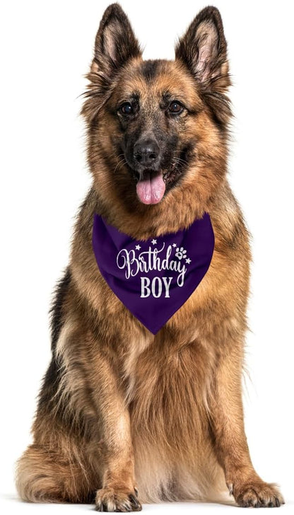 Birthday Boy Dog Bandanas, Dog Birthday Bandana, Birthday Bandana - Image 3