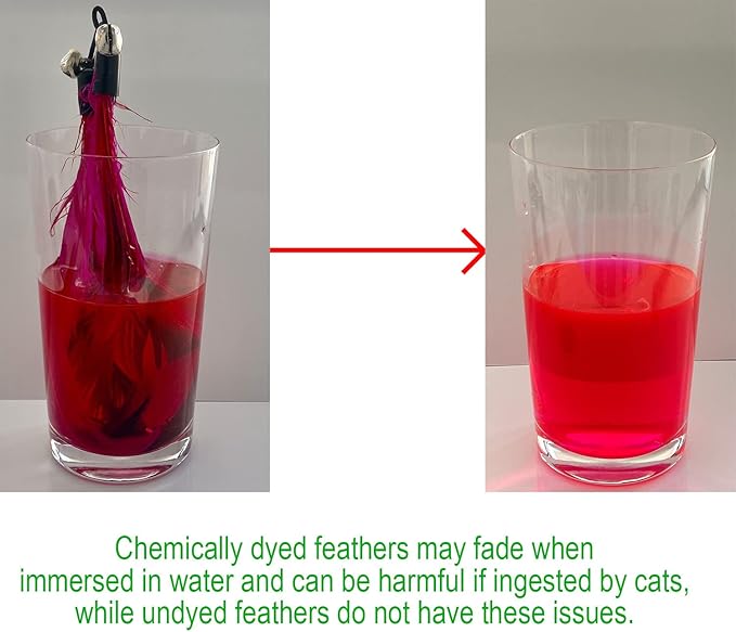Cat Toys - No Chemical Dyeing Cat Feather Toys - Image 3