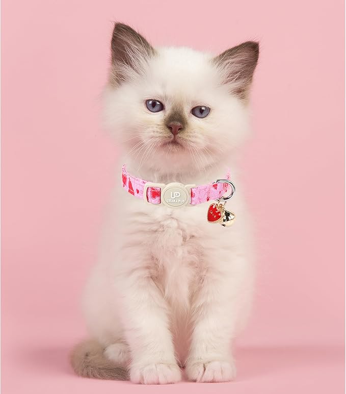 Cat Collar, 2 Pack Cat Collars Cute Breakaway Kitty Collar - Image 4