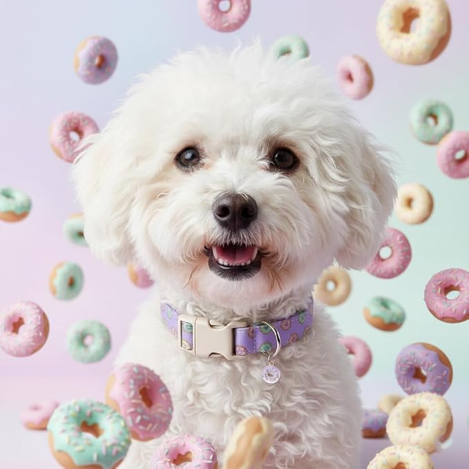 Girl Dog Collar with Unique Purple and Donut Print, Cute Dog Collar - Image 8