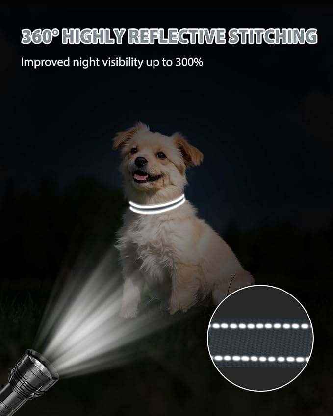 Joytale Small Dog Collar, Reflective and Adjustable Nylon Collar - Image 5