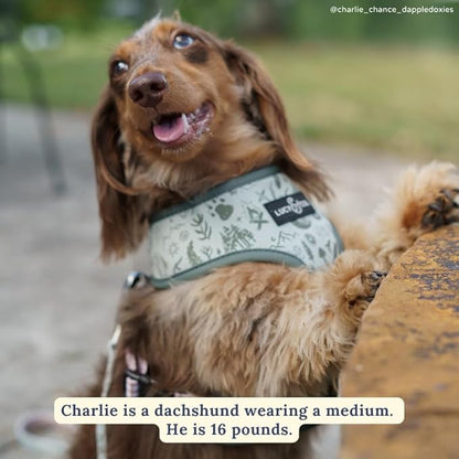 Lucy & Co. Cute Reversible Dog Harness Walking Halter - Image 3