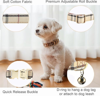 Yizepet Dog Collar and Leash - Image 2