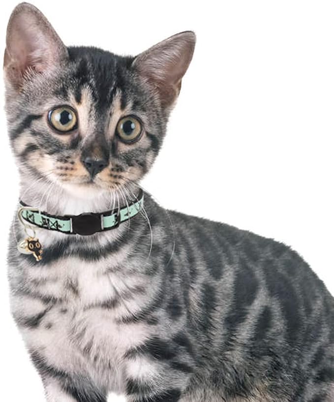 2 Pack Glow in The Dark Cat Collar - Image 6