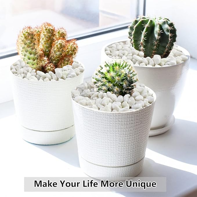 10LB Succulent and Cactus Gravel, 1/5 Inch White Natural Decorative Polished - Image 7