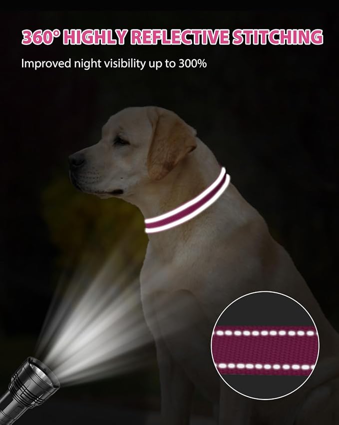 Joytale Large Dog Collar, Reflective and Adjustable Nylon Pet Collar - Image 5