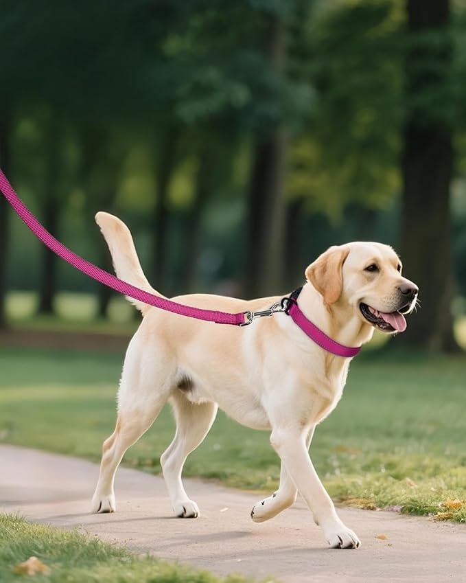 Joytale Large Dog Collar, Reflective and Adjustable Nylon Pet Collar - Image 6