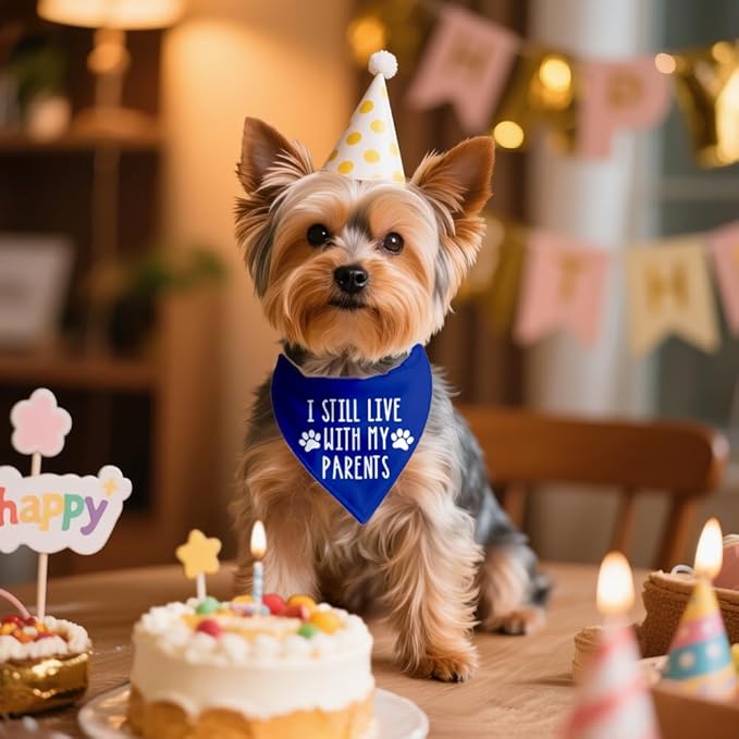 I Still Live with My Parents Blue Dog Bandana, Humor Gifts - Image 4