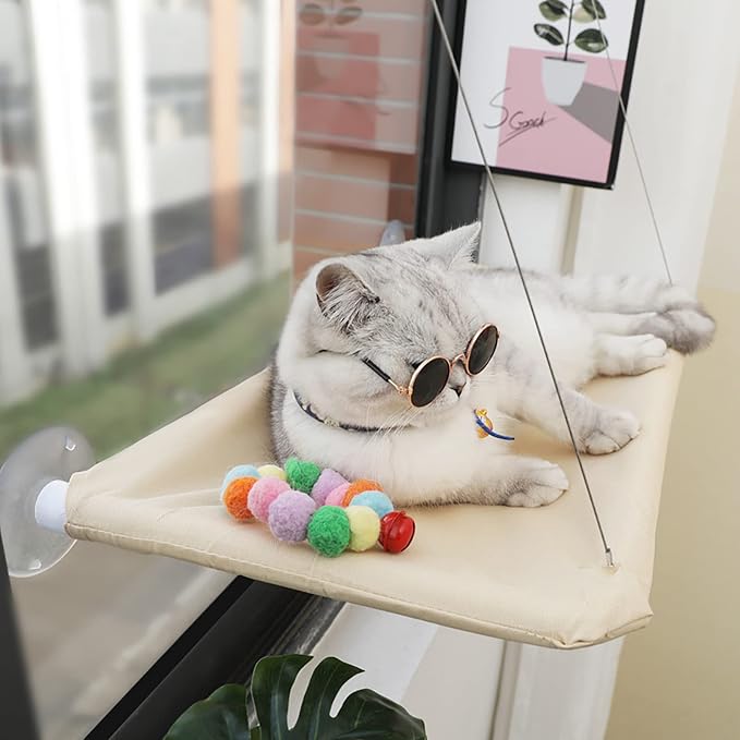 Cat Window Hammock Perch Cat Safety Sunny Bed by JinRui-T