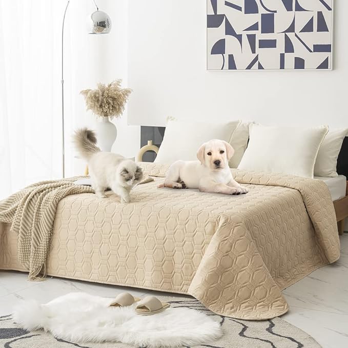 Waterproof and Non-Slip Dog Bed Cover and Pet Blanket Sofa Pet Bed Mat ，car by TcksstexFauxFurDogBedCover