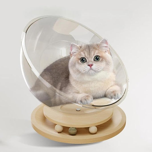 Space Capsule Cat Bed, Pet Furniture, Easy Cleaning, Universal Small Pets - Image 2