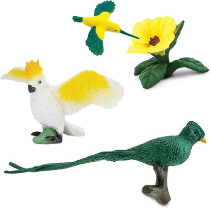 Safari Ltd. Exotic Birds TOOB - Image 7