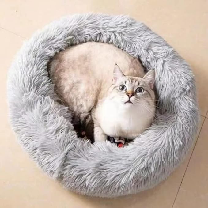 Large Cat Beds for Indoor Cats - Image 5