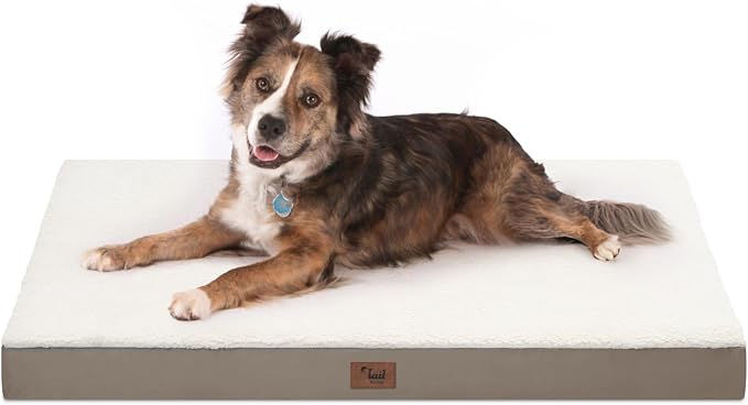 Orthopedic Dog Bed for Large Dogs, Plush Washable Pet Bed for Large Size Dogs by TailStories