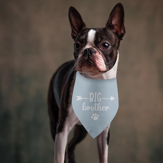 Big Brother Baby Announcement Dog Bandana - Image 5