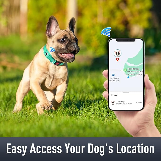 Airtag Dog Collar with AirTag Holder - Image 2